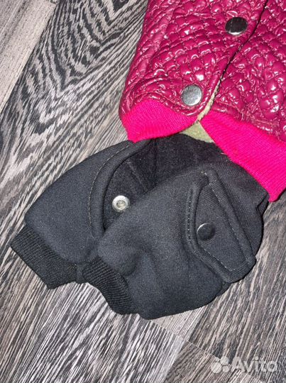 Одежда для маленькой собачки