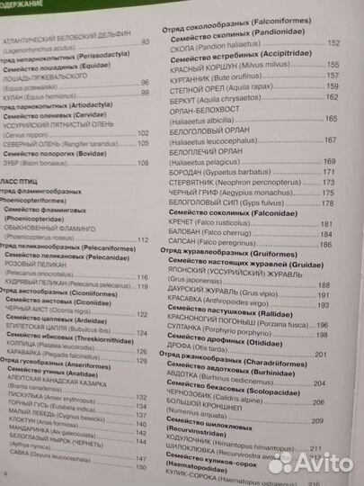 Детская энциклопедии