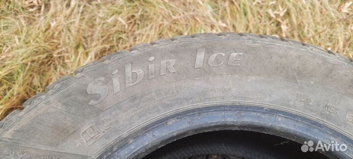 Matador MP 50 Sibir Ice 195/65 R15 91T