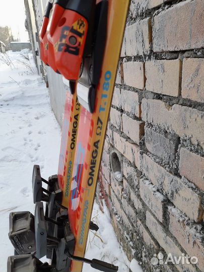 Горные лыжи