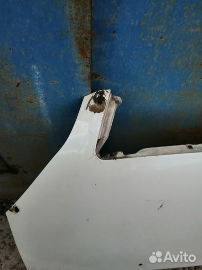 Капот Toyota Ipsum ACM21