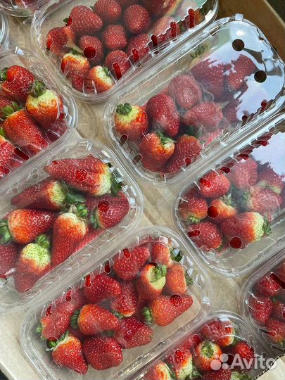 Клубника (Армения )