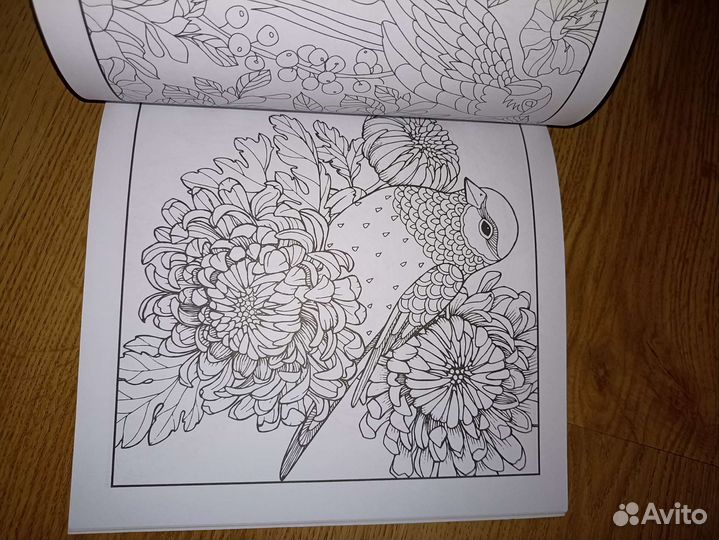 Раскраска антистресс Чик-чирик