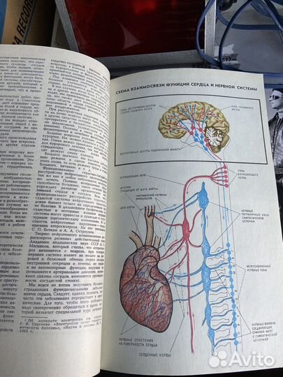 Журнал Наука и жизнь 1965, 1966, 1967, 1987гг