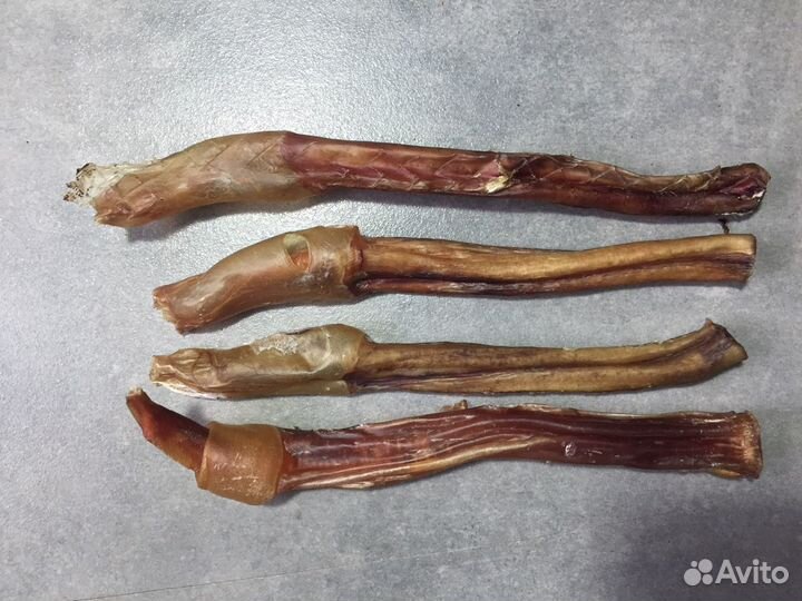 Бычий корень для собак