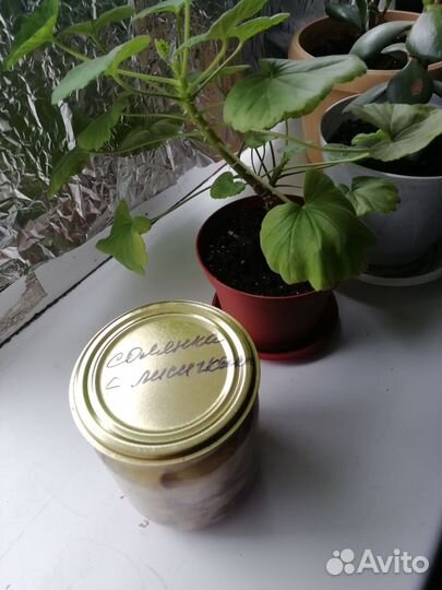 Варенье, суповые заправки