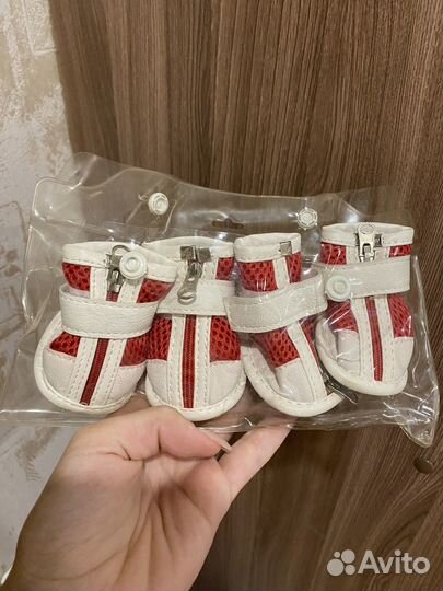 Ботинки для собак