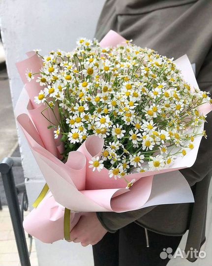 Ромашки Букет из ромашек доставка