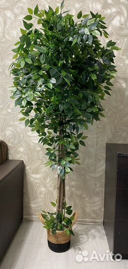 Искусственное дерево фикус