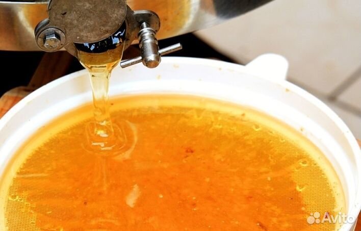 Мёд натуральный с Алтая оптом min 16kg