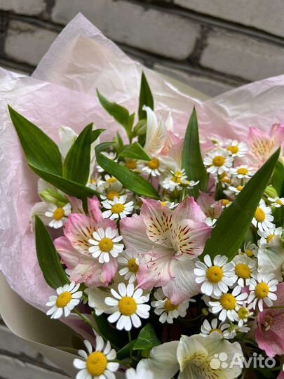 Букет из ромашек и альстромерии