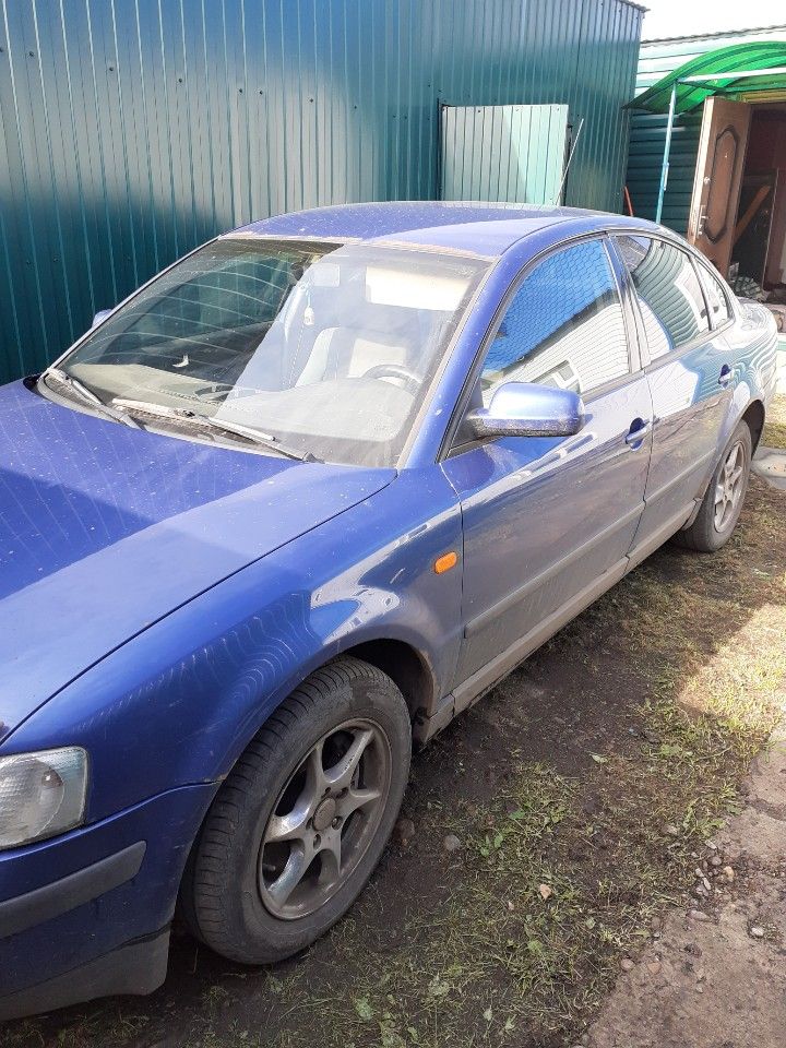 Volkswagen Passat: фото владельца