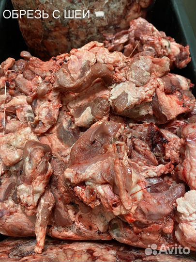 Мясо корм для собак. Корм для животных