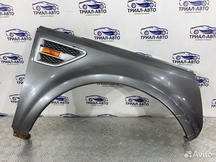 Разбор Фрилендер