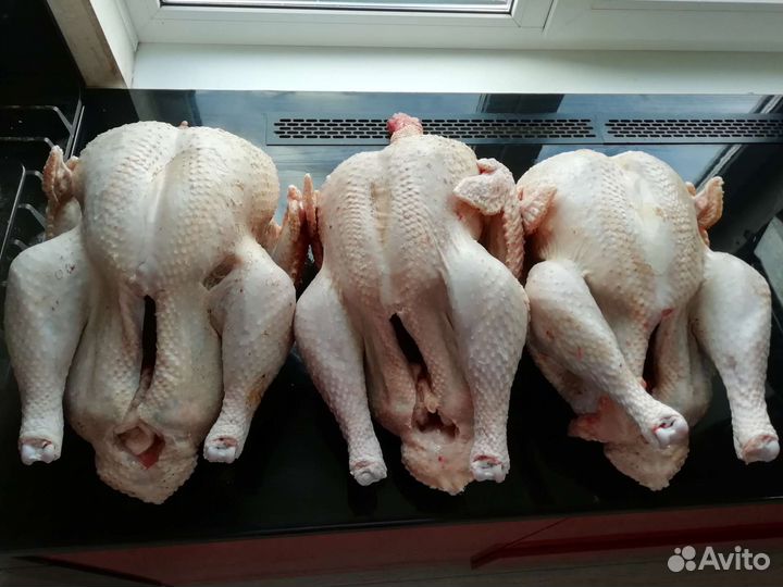 Мясо домашней индейки