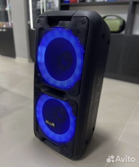 Колонка Eltronic 20-14