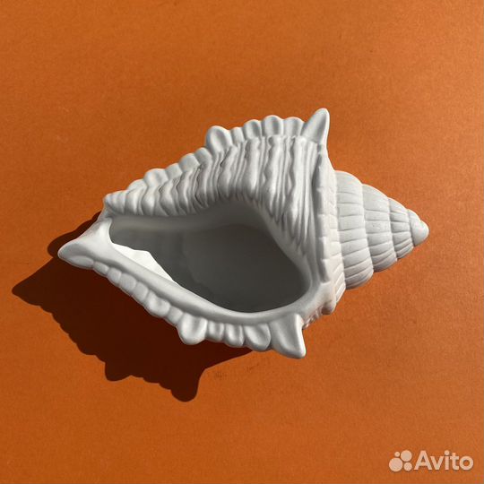 Морские раковины из гипса для украшений