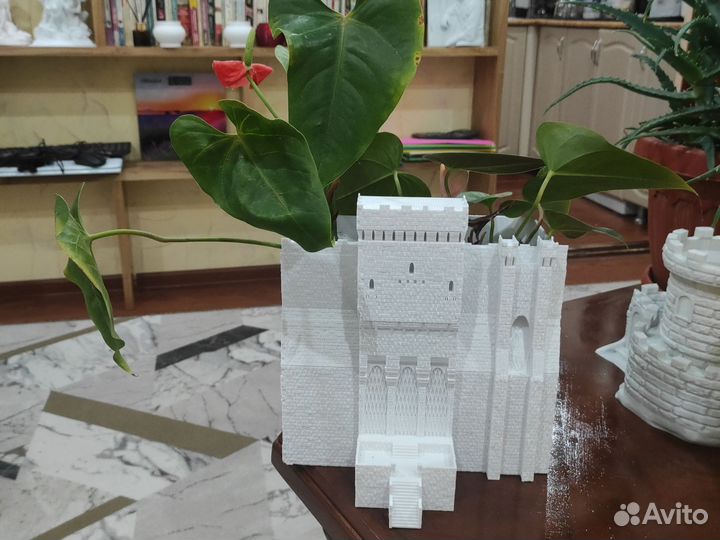 Алоэ лечебный 3х летний, антуриум, декабрист и т.д