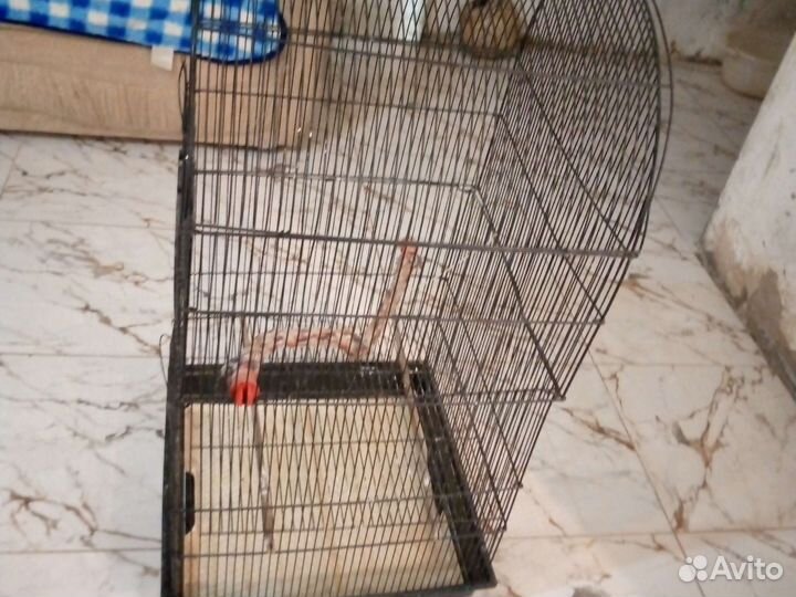 Большая клетка для птиц