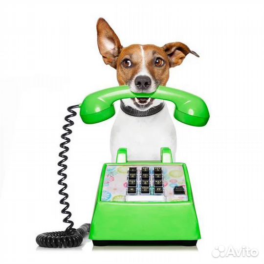 Оператор колл-центра, менеджер,диспетчер