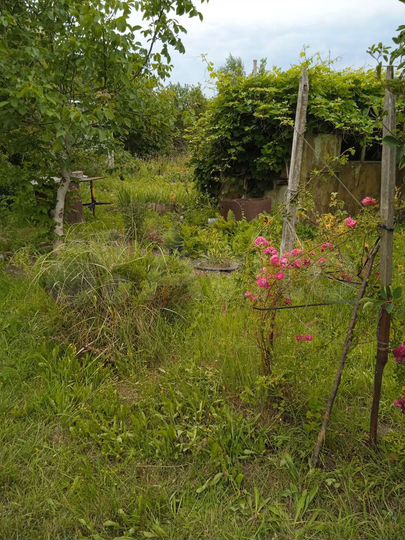 Участок 6 сот. (СНТ, ДНП)