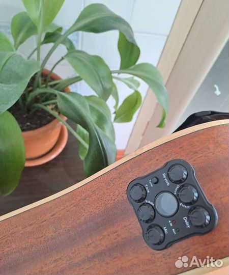 Акустическая гитара Shinobi