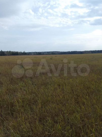 Участок 4090 га (СНТ, ДНП)