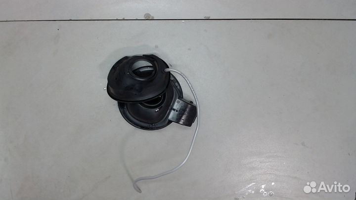 Лючок бензобака Skoda Fabia, 2019