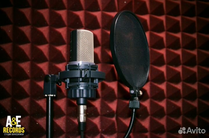Студия звукозаписи AE Rec песни в подарок на заказ