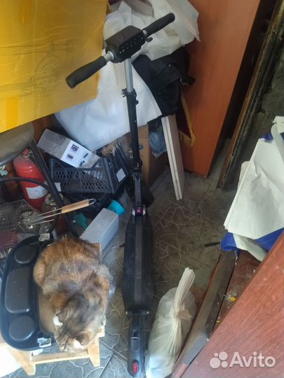 Электросамокат kugoo s3 jilong