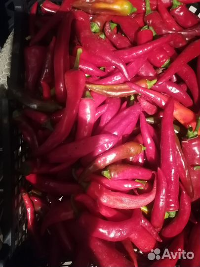 Семена перца разные