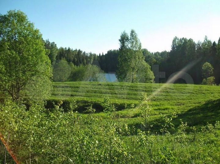 Участок 11,35 га (СНТ, ДНП)
