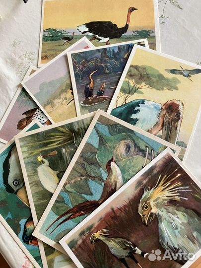 Открытки, карточки, наборы коллекционеров