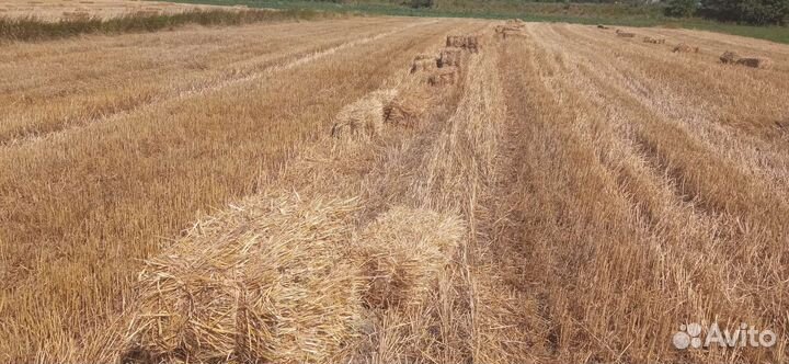 Солома в тюках