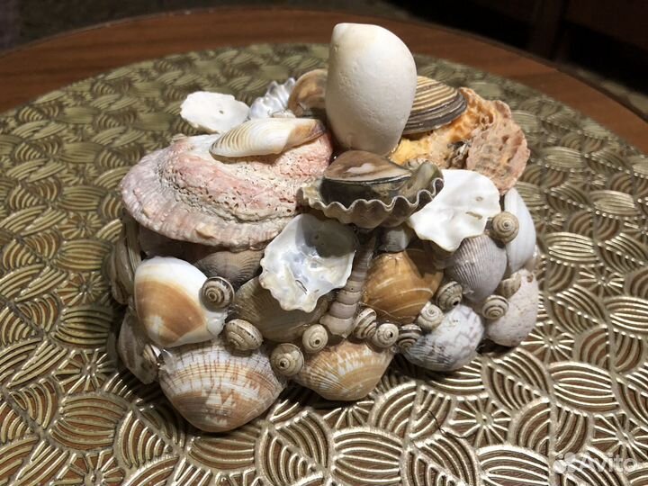 Изделия из ракушек