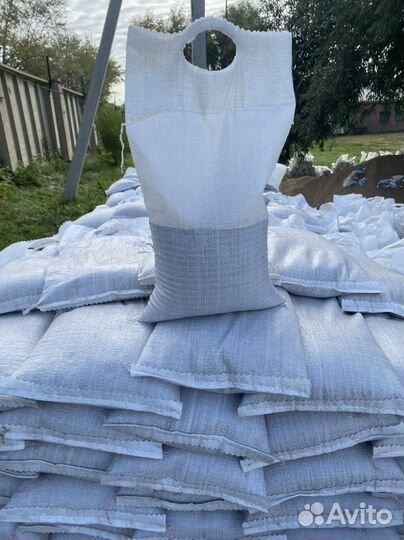 Ракушка морская желтая