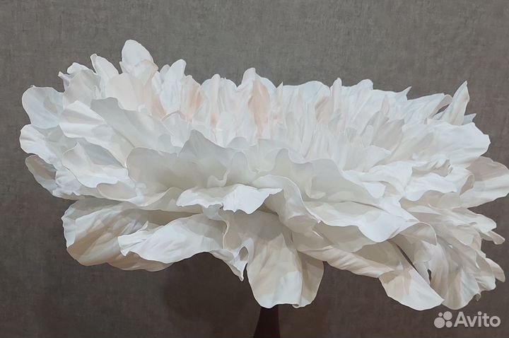 Цветок для фотосессии