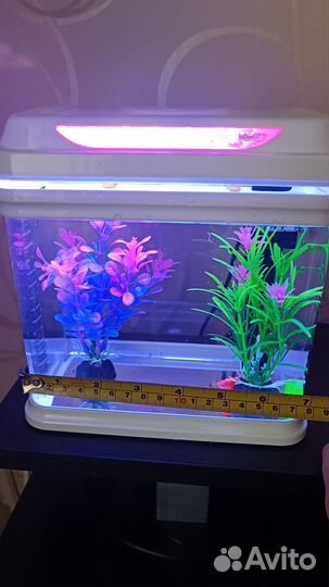 Аквариум с рыбками