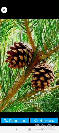 Средство от инсульта профилактика