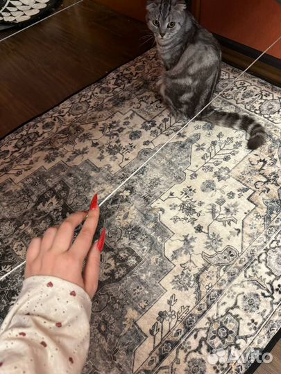 Продаётся: Кушетка косметологическая