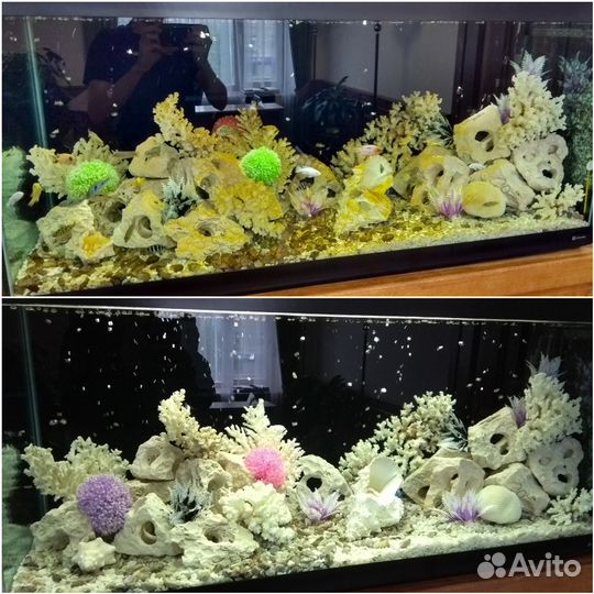 Обслуживание чистка аквариума