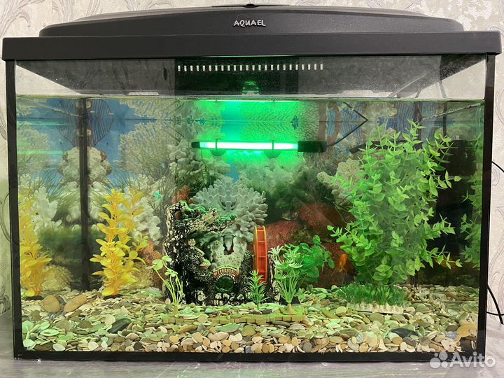 Аквариум с рыбками