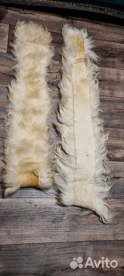 Шкурка животного