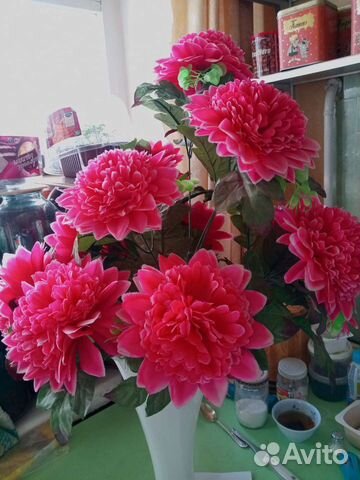 Цветы пионы