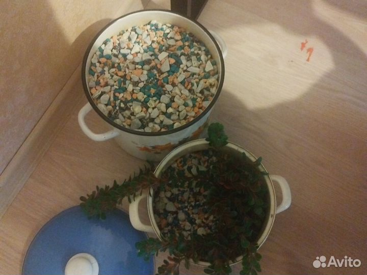 Аквариум с тумбой