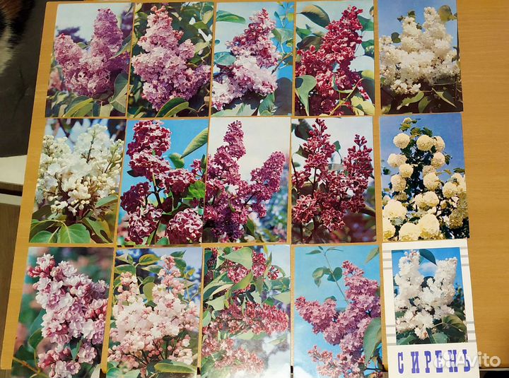 Открытки СССР