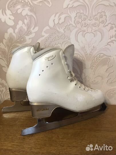 Коньки фигурные Edea, Risport, Wifa Prima Set