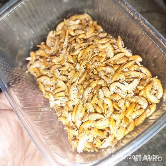 Корм для рыб