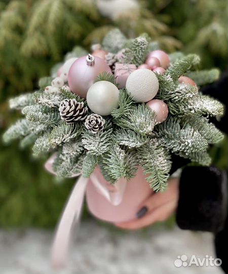 Елка из нобилиса