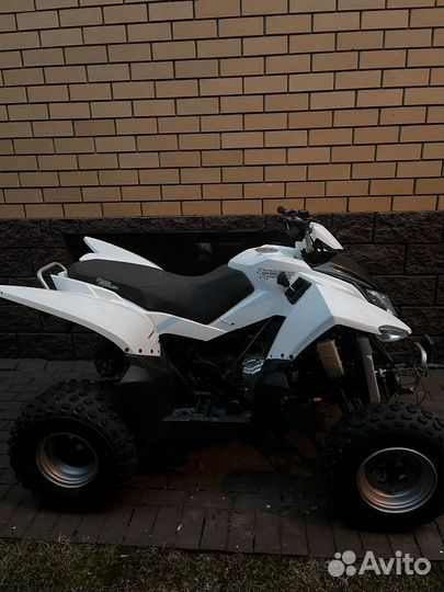 Квадроцикл access SP 300 sport